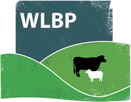 Permissions Engine Page – WLBP